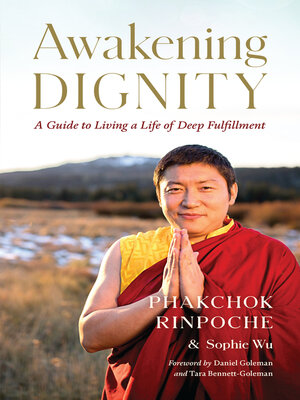 Awakening Dignity - ebook